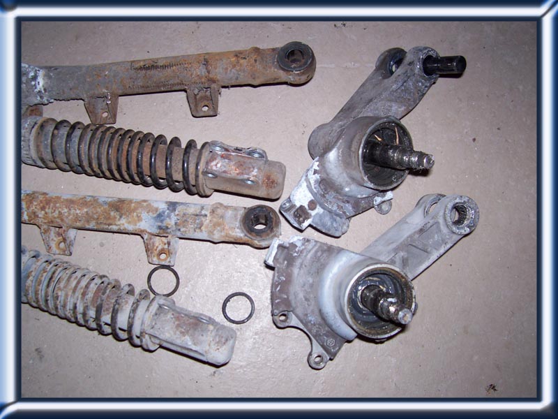 Montage Gabel Piaggio SKR Quatz in Sfera NSL RST