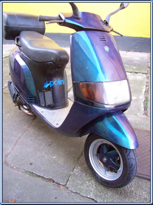 Montage Gabel Piaggio SKR Quatz in Sfera NSL RST