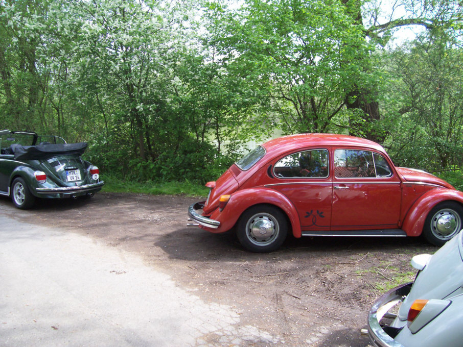 Maiausfahrt ans Steinhuder Meer 2008