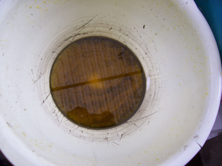 Vergaserreinigung mit Biodiesel