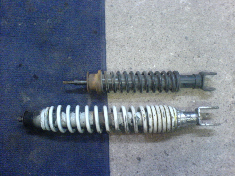 sferamitgileraicefederbein