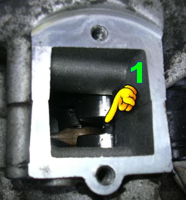 Vergaser und Membraneinbau