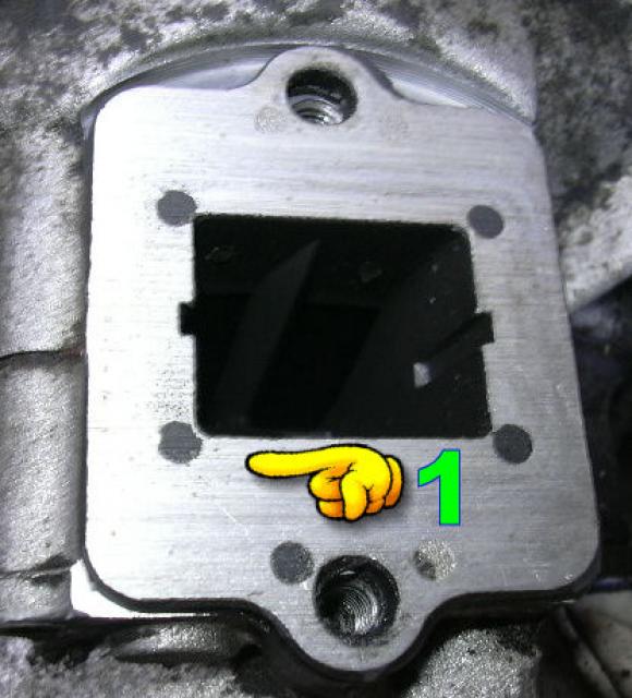 Vergaser und Membraneinbau