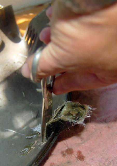 Verkleidungsreparatur